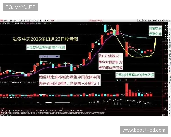 F组黑马预测最新更新